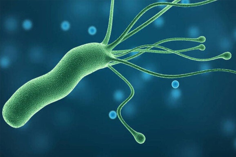 helycobacter pylori