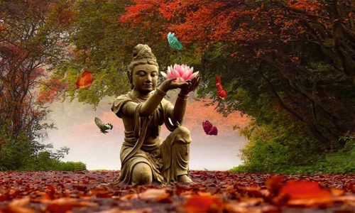 Reiki Karuna