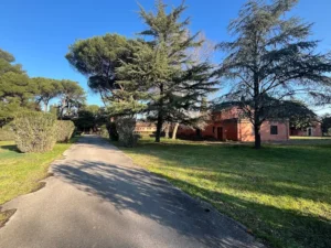 ArmonyaMente si unisce a Roma